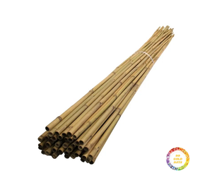 Poteaux en bambou droits de haute qualité pour la construction décoration de la maison longueur personnalisée 1-8m diamètre 2-10cm branches directement - Product Image 2