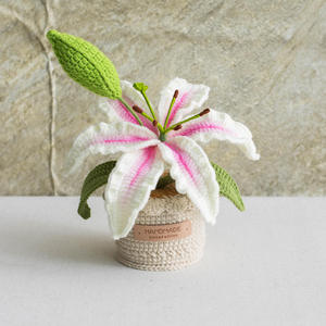 Crochet Hand-Knitted Lily <b>Flower</b> Yarn Potted Plant Bouquet Decoration Gift Wholesale Cross-Border <b>Artificial</b> <b>Flowers</b> - Product Image 2