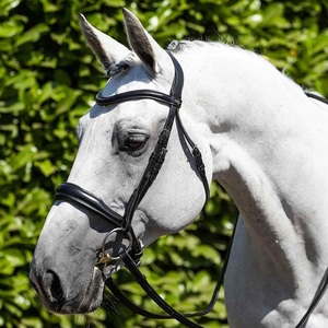 Premier Equine Anatomique Snaffle Bridle Prix bon marché Vente en gros Nouvelle tendance Style à la mode Dernière conception Cheval de haute qualité - Product Image 1