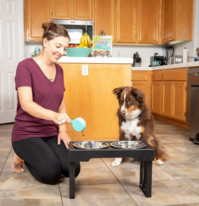 Venta al por mayor de doble cuenco ajustable elevado de acero inoxidable para perros cuencos de comida de agua - Product Image 4