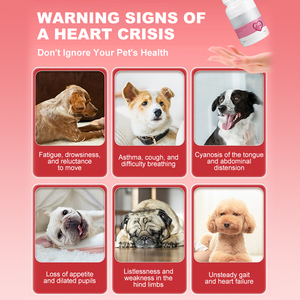 Suplementos Nutricionais para Saúde Cardíaca de Animais de Estimação Altamente Avaliados para Proteger a Saúde do Coração, Adequados para Gatos e Cães - Product Image 2