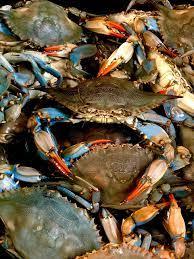 Wild Caught Fresh Blue <b>Crab</b> Perfect for Seafood Lovers - Product Image 4