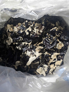 เห็ดออร์แกนิคพรีเมี่ยมแบบแห้งจากเวียดนาม - Product Image 4