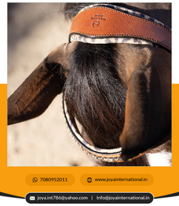 Ahara-riel de nafla ognac para coche inteligente, accesorio que incluye herramientas de instalación - Product Image 3