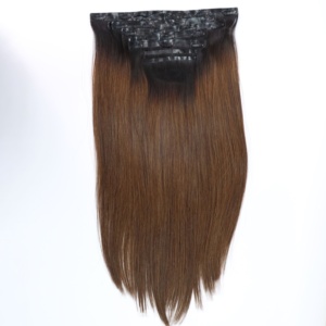 APOGROUP Extensions de cheveux à clipser sans couture 100% cheveux humains vierges vietnamiens Remy Aspect naturel Toutes les couleurs à partir de 10 pouces - Product Image 1