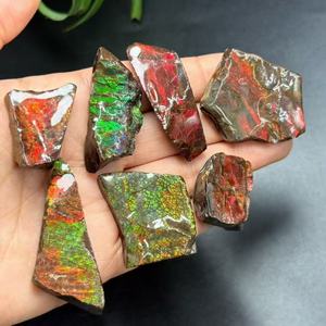 Fósil de Amonita Canadiense Real al por Mayor, Ammolita Cruda Colorida, Espécimen de Piedra Preciosa, Fósil de Vida Marina Antigua Natural de Canadá - Product Image 4