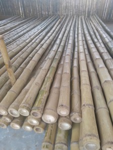 Hoge Warmtebehandelde Bamboe Palen Buizen Materiaal Voor Hekwerk Meubels Of Agrarische Doeleinden - Product Image 2
