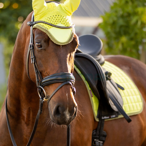2025 Top vente Crochet cheval oreille Bonnet élégant léger respirant lavable mouche voile pour les amateurs d'équitation oreille Bonnet - Product Image 2