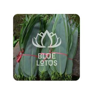 VENTE FLASH Feuilles de bambou bleu lotus 2025 Feuilles de cuisson biologiques - Product Image 1