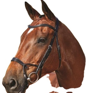 กั้นทางกายวิภาค - Product Image 1