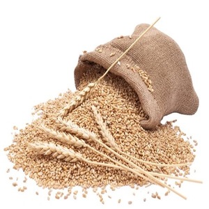 รำข้าวคุณภาพสูงสำหรับอาหารสัตว์ - Product Image 1