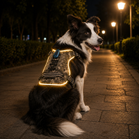 Qcool Harnais-gilet LED pour animaux de compagnie, anti-traction, lumineux, respirant, durable, en nylon, pour l'entraînement extérieur, avec alerte lumineuse, vente en gros