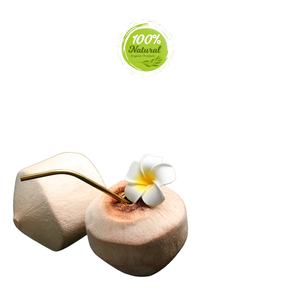 Cáscaras de coco peladas con diamante fresco para huesos saludables - Product Image 3