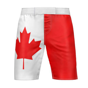 Shorts MMA en toile personnalisés avec logo avant, taille mi-haute, style vintage, respirants, haute qualité, service OEM, équipement d'entraînement de gym - Product Image 1