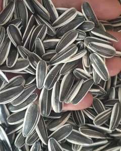 Graines de tournesol noires pour oiseaux et faune - Aliment de qualité supérieure, haute énergie - Product Image 4