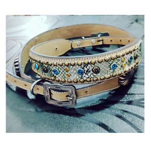 Collier de chien rembourré multicolore classique produit pour animaux de compagnie en cuir souple avec HLD-158 de modèle de décoration de rivet pour chiens - Product Image 5