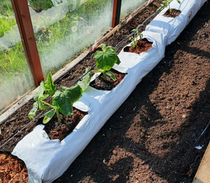 Bolsa de cultivo de fibra de coco al por mayor de fibra de coco natural fácil de usar a precios asequibles - Product Image 2