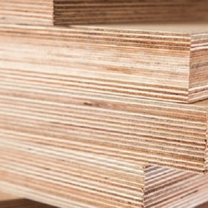 Wholesale China good bendable flexible bending bent <strong>plywood</strong>