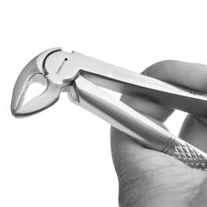 Precio al por mayor, fórceps de extracción de dientes dentales, instrumentos de extracción dental de acero inoxidable, fórceps quirúrgicos profesionales para - Product Image 5