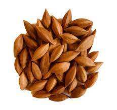 Noix de Pili sauvages germées non salées naturelles à vendre - Product Image 4