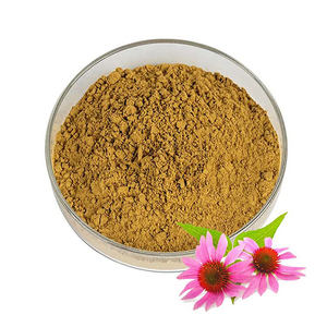 Toptan fiyat 100% organik ekinezya Purpurea özü 10:1 ekinezya Purpurea çiçek tozu - Product Image 1