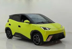 2023 B l D SEEAGULL HATCHBACK AWD Lithium R18 Cuero Doble 6 Asientos Techo Solar Panorámico - Product Image 6