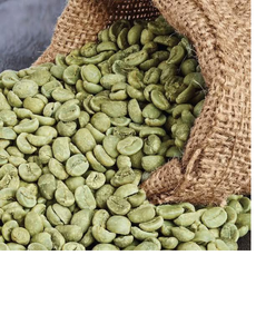 เมล็ดกาแฟอาราบิก้าออร์แกนิกคุณภาพพรีเมียม ขายส่ง รสชาติเผ็ดร้อน กลิ่นอบอบอบเชย เกรดพรีเมียม อายุการเก็บรักษา 2 ปี ผลิตในเยอรมนี - Product Image 3