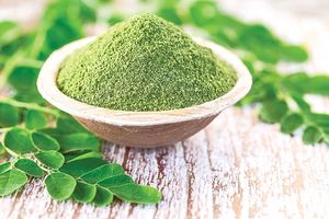 Extrait de feuille de Moringa en vrac, vente en gros, poudre de feuille verte riche en nutriments pour les smoothies, la cuisine et la préparation des aliments, provenance d'Inde - Product Image 2