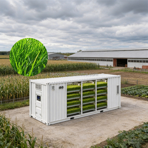 Solución Profesional de Contenedores Hidropónicos para Forraje, para Granjas Ganaderas a Gran Escala con Sistema de Cultivo Automatizado - Product Image 4