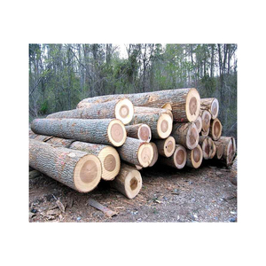 Beech <b>Wood</b> Construction - Round <b>Wood</b> <b>Logs</b> for Sale - Beech Sawn <b>Wood</b> Lumber Export 66. Worldwide Export Natural - Product Image 3