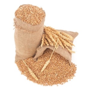 Semillas de cebada para alimentación de ganado, brotes de cebada para ovejas, granos de cebada directamente de fábrica, 2 años de vida útil. - Product Image 2