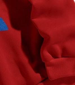 Qualité supérieure unisexe français tissu éponge en vrac Street Style lourd épais pull à capuche coton poudre bouffée imprimé à capuche - Product Image 6