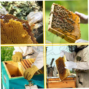 Guantes de apicultura con logotipo personalizado, guantes de apicultura de cuero de gran oferta, guantes duraderos para Apicultura - Product Image 6