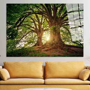 Toile imprimée Forêt au lever du soleil : Impression photo d'arbre vert, Décoration de ferme, ART SUR VERRE TÉRMÉRÉ - Product Image 1