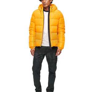 Personnalisable personnalisé équipe à capuche respirant Street Wear doudoune pour hommes hiver à la mode extérieur toile conception - Product Image 1