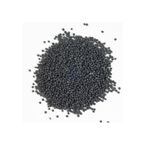 Colza en vrac pour l'extraction de l'huile et la fabrication d'aliments pour animaux à faible coût - Product Image 3