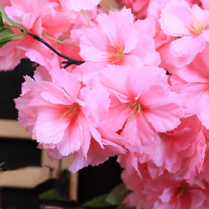 Tiges de fleurs de cerisier en soie rose blanc japonais bon marché en gros fausse branche de fleur de sakura fleur de cerisier artificielle - Product Image 6