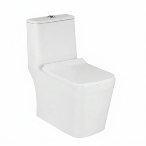 Inodoro Moderno de Una Pieza con Taza Alargada, Doble Descarga, Ecológico, Fácil de Limpiar, Montado en el Suelo, de Porcelana Vitrificada Blanca para Baño - Product Image 1