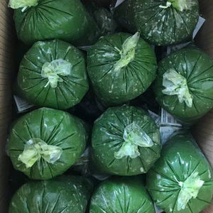 High Quality IQF Frozen Cassava Leaf Vietnam Fresh Clean Premium <b>Food</b> Grade Wholesale Export Supplier - Product Image 1