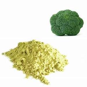 Brócoli fresco y denso en nutrientes de la mejor calidad, verduras crucíferas a la venta a un precio barato - Product Image 6