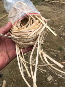 Más vendidos pelado de ratán recortado natural variedad de tamaños material ecológico buen precio - Product Image 3