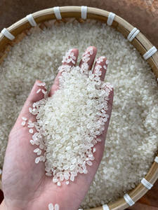 Arroz Calrose Aromático Seco de Vietnam (Ms. Ellen) - Product Image 2