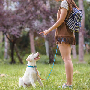 สายจูงสุนัขเชือกถักเปียที่หรูหราทำด้วยมือสำหรับสุนัขขนาดเล็กขนาดกลางและขนาดใหญ่ที่ผลิตจาก PU โดยผู้ผลิตและผู้ค้าส่ง - Product Image 5