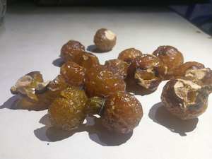 ผงสบู่สำหรับทำผม100กรัม250กรัมธรรมชาติและคุณภาพสูงจากเวียดนาม - Product Image 4