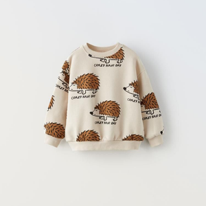 เสื้อสเวตเตอร์ผ้าคอตตอนสำหรับเด็กทารกเด็กผู้ชายเสื้อสวมหัวแบบนุ่มให้ความอบอุ่นเสื้อผ้าเด็กวัยหัดเดิน OEM ชุดลำลองสำหรับใส่ในชีวิตประจำวัน - Product Image 5