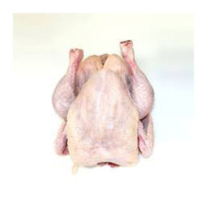 Pollo orgánico congelado al por mayor del fabricante, pollo entero, el mejor material, vitaminas de tarifa barata, certificado Halal, seco a granel - Product Image 5