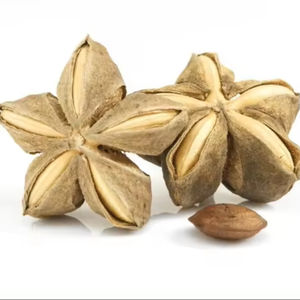 HUILE SACHI DE QUALITÉ SUPÉRIEURE AU MEILLEUR PRIX DU VIETNAM PRÊT À EXPORTER EN VRAC - Product Image 1