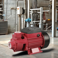 Pompe centrifuge auto-amorçante haute pression en acier inoxydable TECHNIC POWER 0,5/1,5/2 CV avec moteur à fil de cuivre pour usage industriel