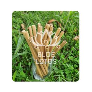 PRODUIT TENDANCE CHAUDE Logo personnalisé Paille en bambou en vrac idéal pour les cadeaux promotionnels respectueux de l'environnement - Product Image 1