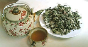 HOJAS DE NERVOSUM DE SYZYGIUM SECAS NATURALES/CALIDAD PREMIUM/LISTO PARA USAR PARA EXPORTAR TÉ DE HIERBAS - Product Image 2